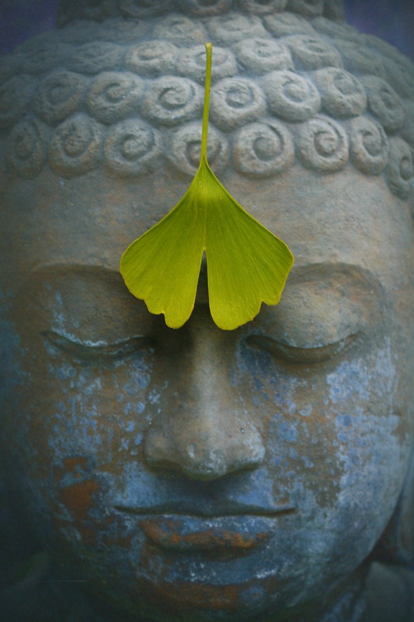 buddha, zen, meditation-2728793.jpg